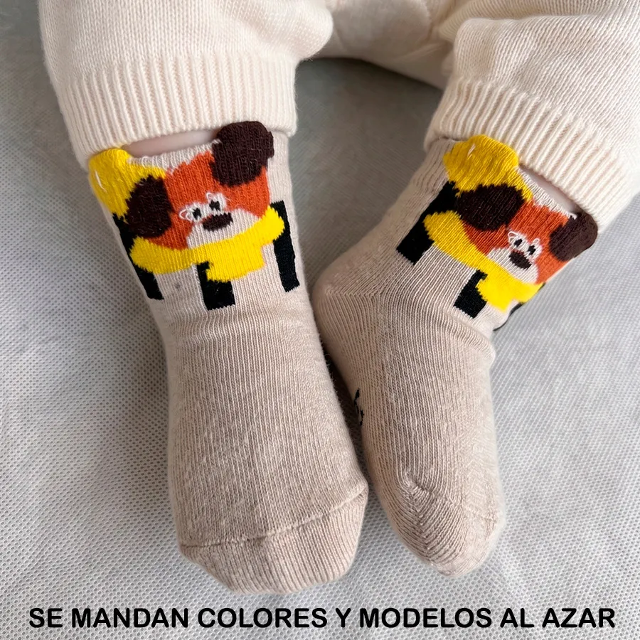 CA2002 EDICION 11900